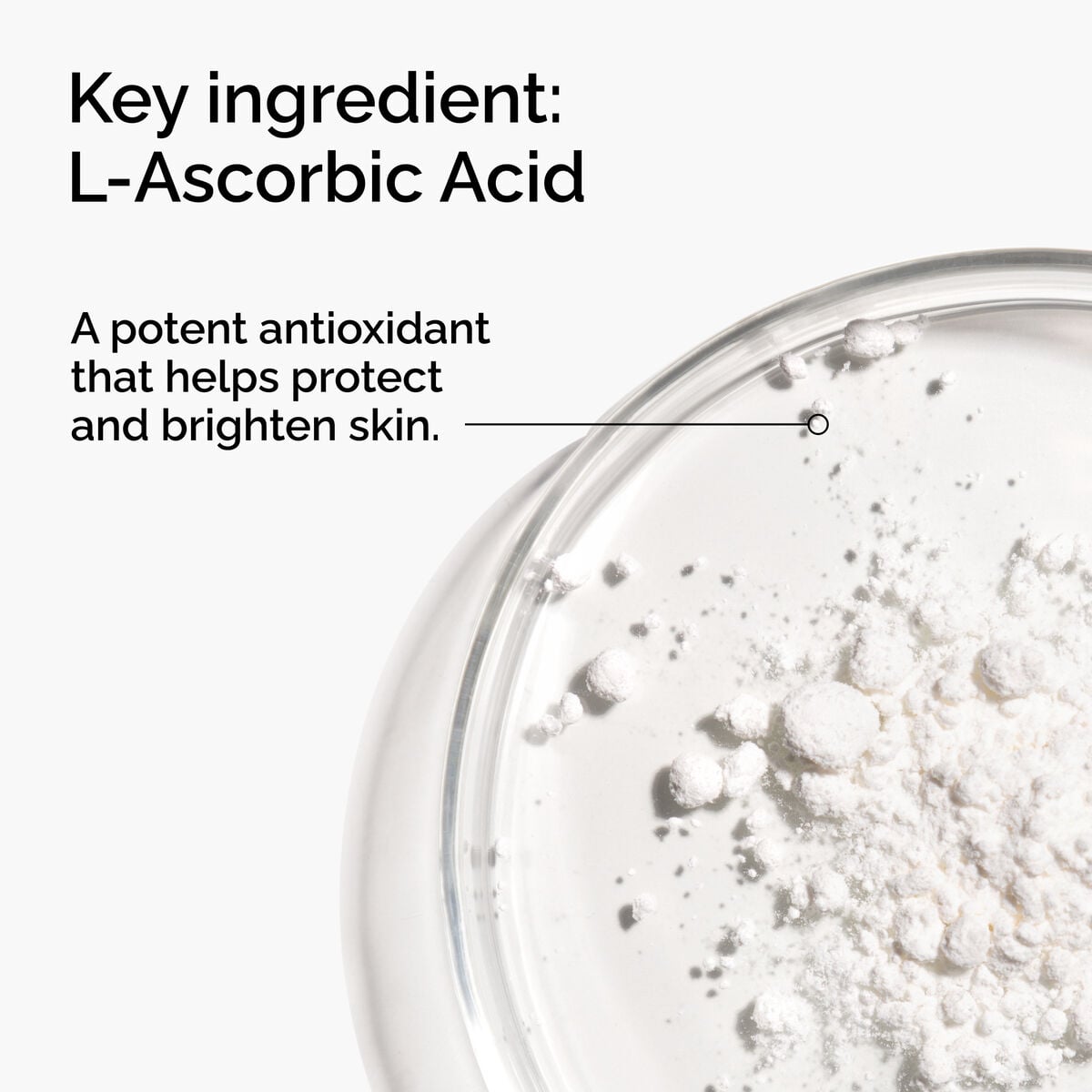100-l-ascorbic-acid-powder-n5 FY25-D41247-ORD-Web-PDP-100-LAscb-Pwd-1x1-EN-2a.jpg
