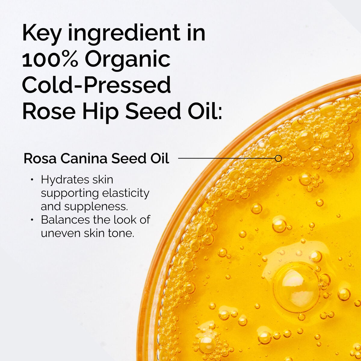 100-organic-cold-pressed-rose-hip-seed-oil-i0 FY25-D41247-ORD-Web-PDP-100-Rose-Hip-Oil-1x1-EN-2.jpg