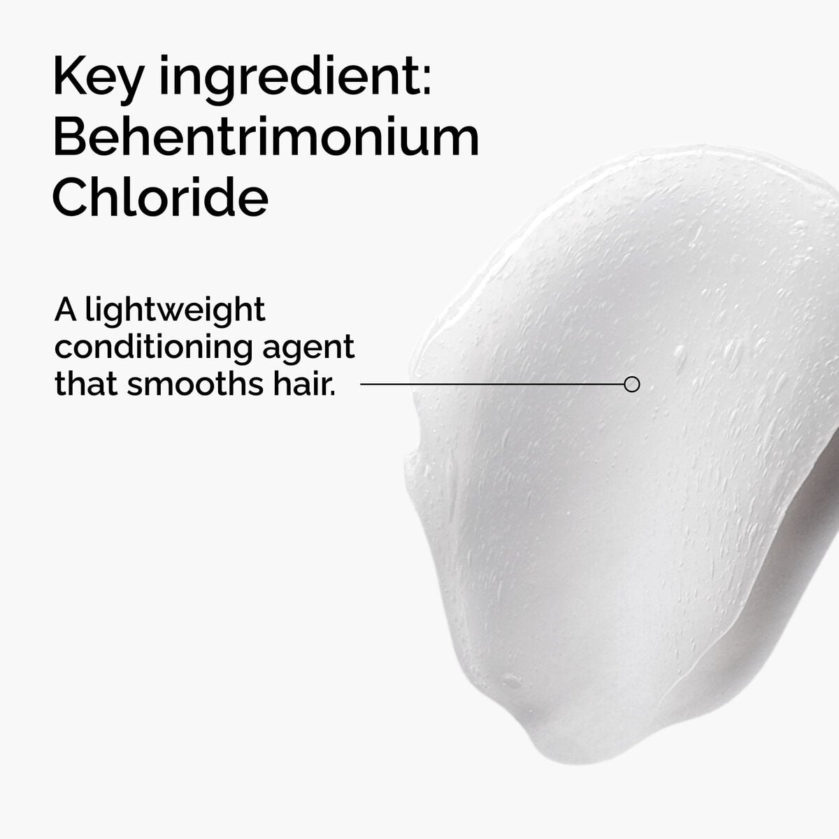 behentrimonium-chloride-2-conditioner-z6 FY25-D41247-ORD-Web-PDP-BTC-1x1-EN-2a.jpg