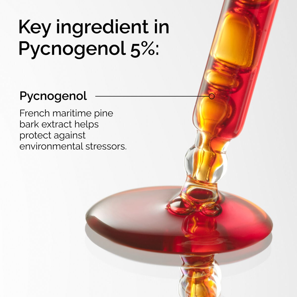 pycnogenol-5-d0 FY25-D41247-ORD-Web-PDP-Pyc-5pct-1x1-EN-2a.jpg
