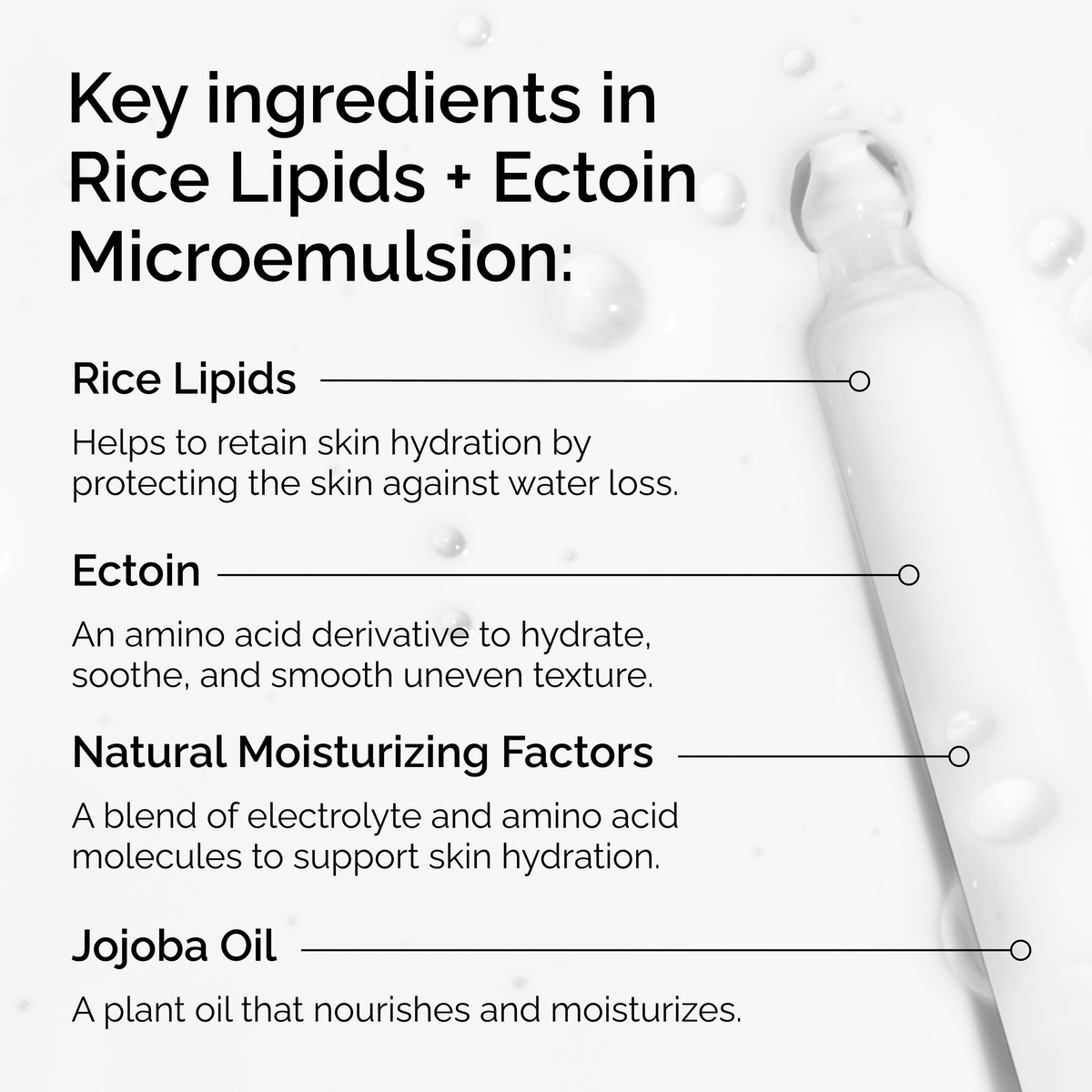 rice-lipids-ectoin-microemulsion-r8 ord-rice-lipids-ectoin-microemulsion-key-ingredients.png