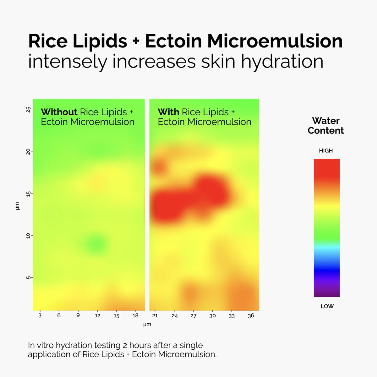 rice-lipids-ectoin-microemulsion-r8 ord-rice-lipids-ectoin-microemulsion-thermal-before-after.jpg